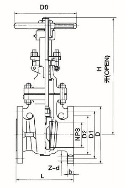 Z41Wբṹͼ